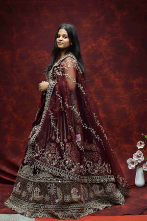 Royal Wine Maroon Velvet Saree with Intricate Embroidered Border