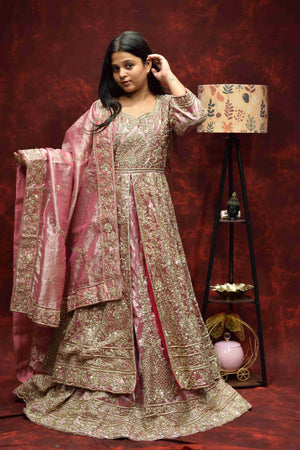Blush Pink Designer Saree with Intricate Golden Embroidery