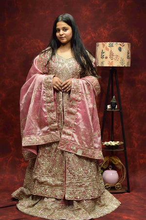Blush Pink Designer Saree with Intricate Golden Embroidery