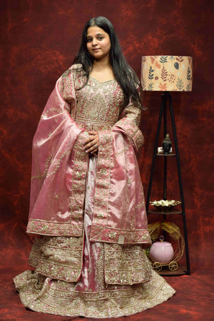 Blush Pink Designer Saree with Intricate Golden Embroidery