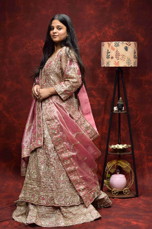 Blush Pink Designer Saree with Intricate Golden Embroidery