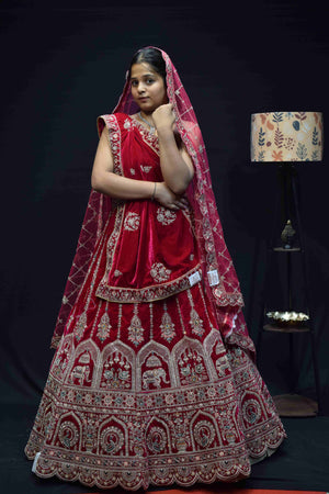 Royal Red Bridal Lehenga Saree with Intricate Silver Zari Embroidery